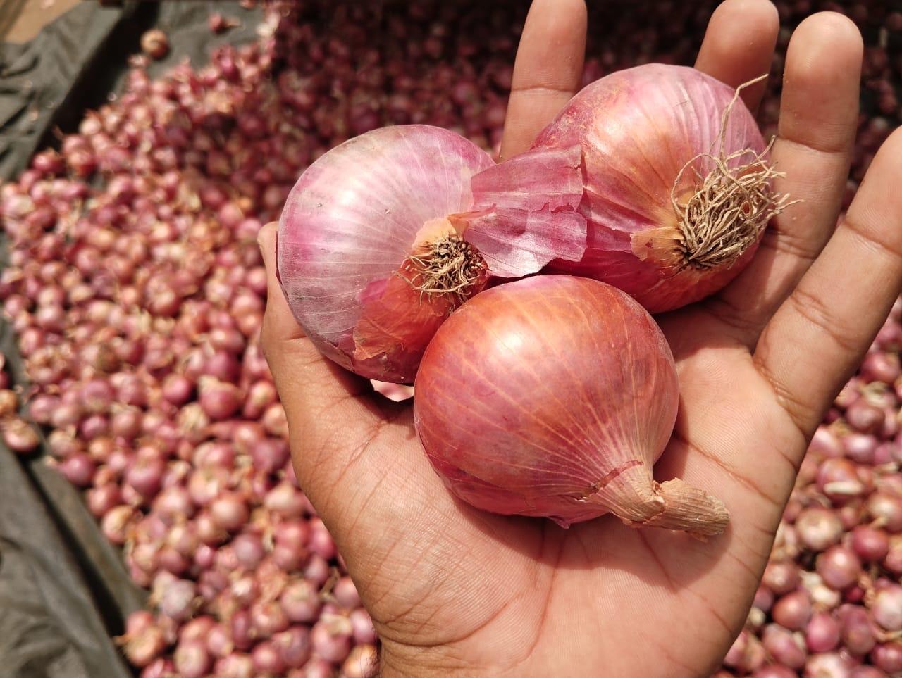 WhatsApp Image 2025-06-03 at 7.24.22 PM (3).jpeg